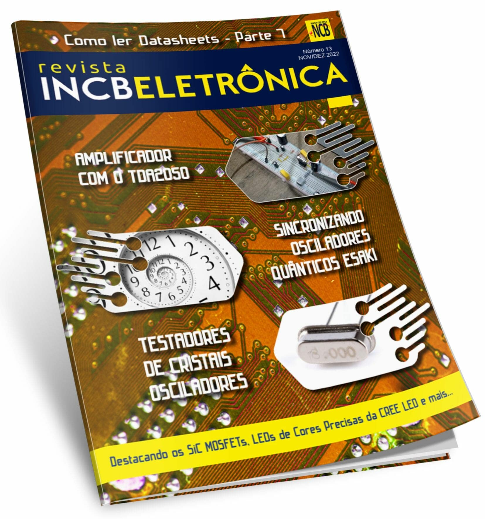Download Revista INCB Eletronica PDF